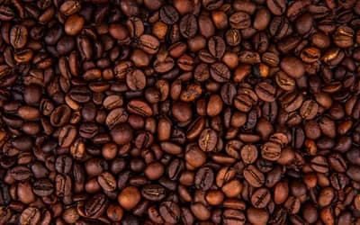 Café hoje: confira as cotações para sexta-feira (5)